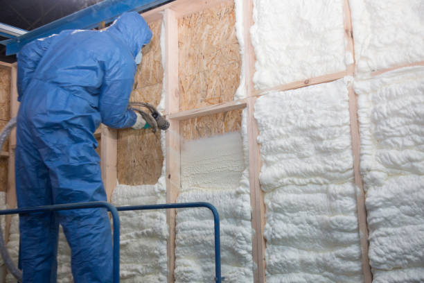 Eco-Friendly or Green Insulation Solutions in Leawood, KS